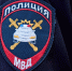 Фото: Юрий Здебский/«Ямал-Медиа» - Ямал-Медиа