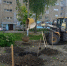 Сквер у городского Центра единоборств украсили дубы и липы - Муром24.РФ