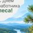 Уважаемые работники лесной отрасли, поздравляем вас с профессиональным праздником! - Агентство Городского Развития