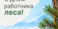 Уважаемые работники лесной отрасли, поздравляем вас с профессиональным праздником! - Агентство Городского Развития
