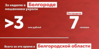 За неделю мошенники похитили у белгородцев свыше 20 млн рублей - Belnovosti.Ru