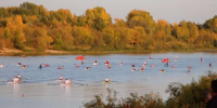 100-летие гребного спорта региона отметили в Нижнем Новгороде - НИА Нижний Новгород