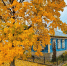 Картинка - Regions.Ru