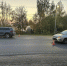 В Кирове женщина пострадала в ДТП с «Фордом» - Newsler.Ru