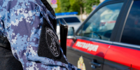 Росгвардейцы задержали подозреваемого в краже электроники в Подмосковье (видео) - Росгвардия