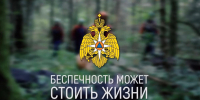 С начала года в Новгородских лесах заблудились 153 человека - МЧС Новгородской области