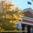 🔔 Напоминаем об официальных аккаунтах Правительства Курской области в социальных сетях и мессенджерах: - Газета Дмитриевский вестник