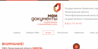 Как в Ленобласти получить выплату после падения БПЛА в МФЦ - инструкция - 47 новостей