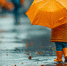 2151469978 - РИА 7 Новостей
