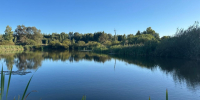 На Орловщине обнаружили загрязнение реки Ливенка - Орловский Вестник