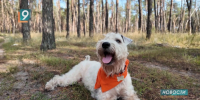 Новости Старого Оскола от 23 сентября - 9 Канал Старый Оскол