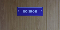 Уральский бизнесмен погорел на мультике «Три кота» якобы с участием жителей Саранска! - Столица С