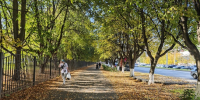 Осень 2026 станет точкой невозврата: астрологи назвали 4 знака, кого ждет тотальная перезагрузка — легко не будет - Prochepetsk.ru