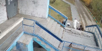 Убийство в Белой Горе, мошенничество на 200 тысяч рублей и нападение собаки на ребенка: сводка за сутки в Якутии - ИА SakhaTime