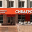«Сибагро» начала экспорт свинины из Кузбасса в Казахстан, Армению и Киргизию - NIATomsk.Ru