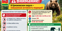 Внимание! В Ермаковском округе – повышенная активность медведей!. - Ермаковский район