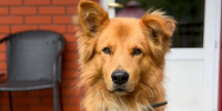 Картинка - Regions.Ru