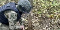 Артиллерийский боеприпас нашли в Облученском районе ЕАО - РИА Биробиджан