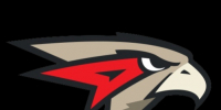 "Сокол" завершил домашнюю серию поражением от  "Омских Крыльев" - РИА RedЯрск-Информ