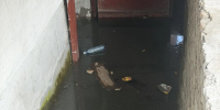Дом в Кокуе топит канализация, отопление подключить невозможно - Газета Вечорка