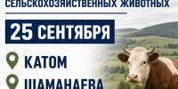Важная информация для владельцев сельскохозяйственных животных. - Администрация Черемховского района