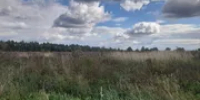 В Бирском районе Башкирии обнаружили более 60 га заброшенных сельхозугодий - Башинформ