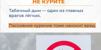 Изображение без описания. - Миасский городской округ