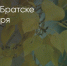 Поделитья во ВКонтакте - Братская Студия Телевидения