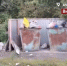 Народный фронт взял на контроль ситуацию с вывозом мусора в Завитинске - gtrkamur.ru - ГТРК Амур