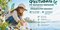 Фото: max.ru/id2801130936_gos - Амурское областное телевидение