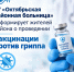Врачи Октябрьского района напоминают: грипп не прощает халатности - Администрация Октябрьского района