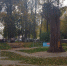 Стало известно, какой будет погода в Кирове 24 сентября - ProGorod.Ru