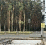 В Сызрани приставы добились сноса незаконного торгового павильона - TltGorod.Ru