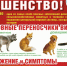 Памятка населению по профилактике бешенства животных. - Бердюжье Медиа