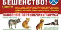 Памятка населению по профилактике бешенства животных. - Бердюжье Медиа