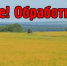 Проводится обработка сельхозугодий десикантами - Спасский район