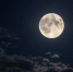 jbilmwq681okbefxu181y8hnszjqj8vb.jpg - ПГТУ