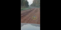 Фото: Дирекция по особо охраняемым природным территориям - НИА