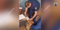 Под Красноярском застрелили двух медведей а в Минприроды идут обыски. фото: СК по Красноярскому краю - Седьмой канал