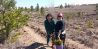 В Алтайском крае проходит масштабная акция «Сохраним лес» - Rubtsovsk.Info