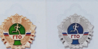 Досрочное получение знака отличия ВФСК ГТО. - Городской округ Заринск