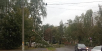 В Брянской области объявили оперативное предупреждение из-за грозы и сильного ветра - Комсомольская Правда