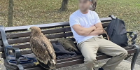 В Курортном парке Ессентуков устроили охоту на фотографов с дикими птицами - Вечерний Ставрополь