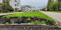 В Западном районе благоустроили зелёную зону по программе «Вместе с соседями» - Новгородское областное телевидение