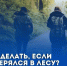 Что делать, если вы заблудились в лесу - ГУ МЧС России