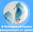 В Поморье начинается вакцинация от гриппа - ИА Dvina29