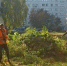 Ремонт остановки, покос травы, уборка города – 24 сентября - Город Ковров
