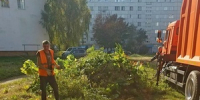 Ремонт остановки, покос травы, уборка города – 24 сентября - Город Ковров