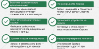 В Нижневартовске мошенники взломали аккаунт сестры и выманили 17 тысяч рублей - Местное время