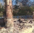 В результате атаки ВСУ до основания разрушен старинный православный храм в селе Козино Рыльского района - Sekunda.Media